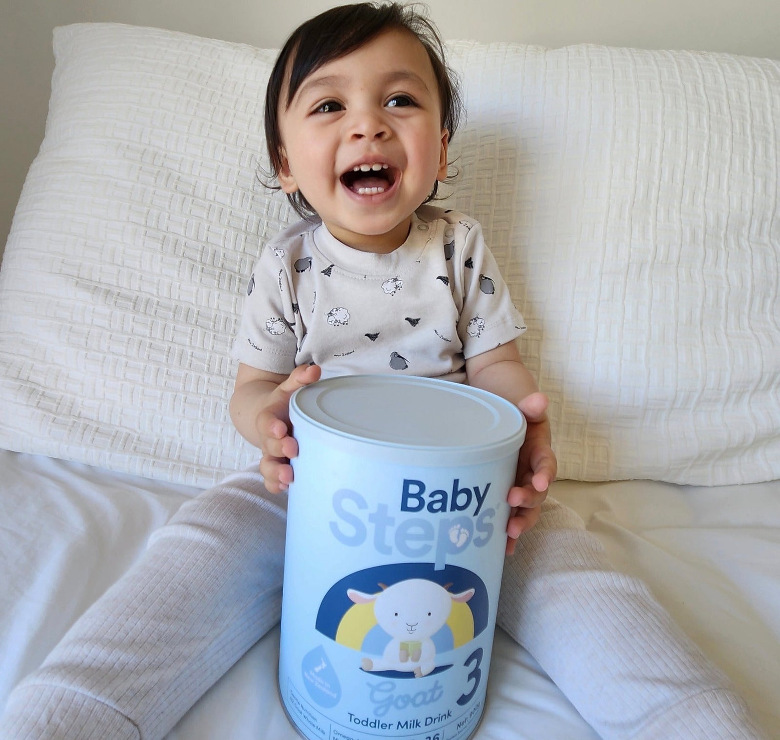 Goat milk formula for infant nutrition, available online.