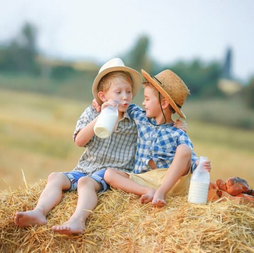 Two young boys sitting on a haystack in a rural setting, wearing straw hats and enjoying bottles of goat milk New Zealand